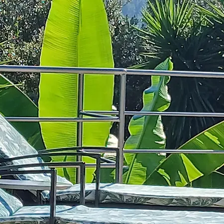 Relax Tiny 40 Meters Of The Σπίτι διακοπών Zrnovo