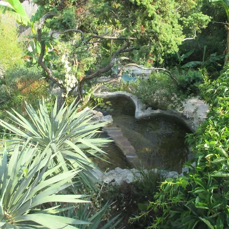 Relax Tiny 40 Meters Of The