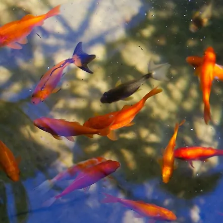 Relax Tiny 40 Meters Of The Σπίτι διακοπών *