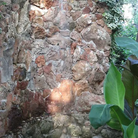 Relax Tiny 40 Meters Of The * Zrnovo