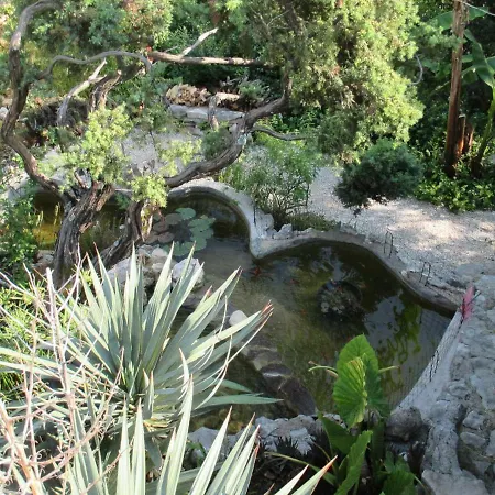 Relax Tiny 40 Meters Of The *