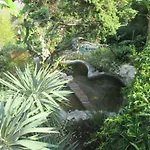 Relax Tiny 40 Meters Of The