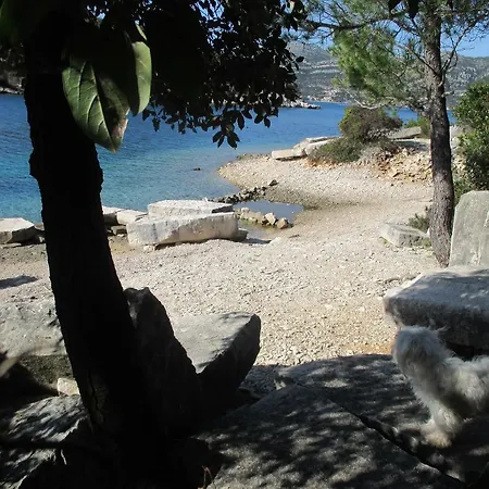 Relax Tiny 40 Meters Of The Tatil Evi Zrnovo