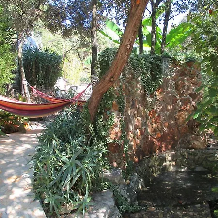 Relax Tiny 40 Meters Of The * Zrnovo