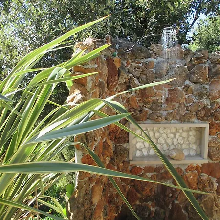 Relax Tiny 40 Meters Of The Zrnovo