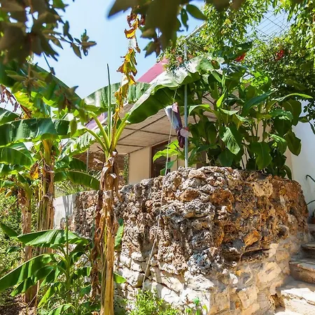 Relax Tiny 40 Meters Of The Tatil Evi