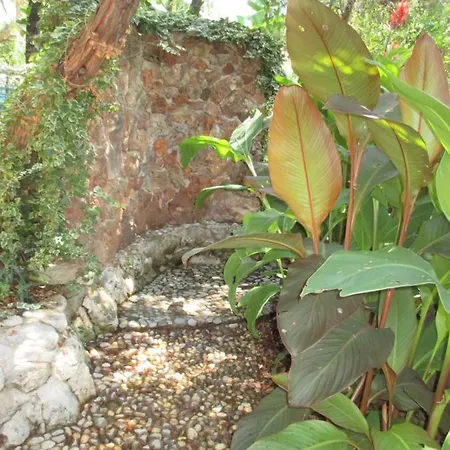 Tatil Evi Relax Tiny 40 Meters Of The Zrnovo