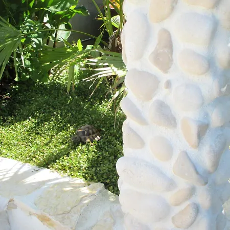 Relax Tiny 40 Meters Of The * Zrnovo