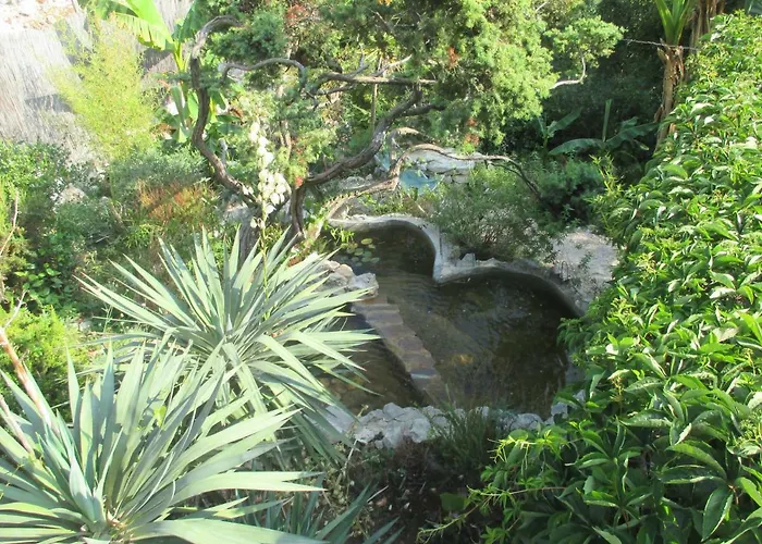 Relax Tiny 40 Meters Of The